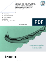 Angiostrongylus Cantonensis - Sub Grupo 2