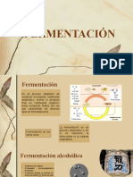 Fermentación Láctica Alcohólica y Acética