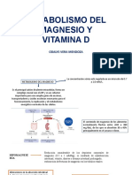 Metabolismo Del Magnesio y Vitamina D Odalys Vera Mendoza