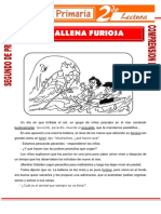 La Ballena Furiosa para Segundo de Primaria