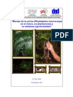 Manejo de La Yarina (Phytelephas Macrocarpa) en El Vivero, en Plantaciones y en Sistemas Agroforestales
