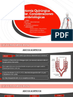 Anatomia Quirugica Vascular - Consideraciones Embriológicas 1