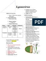 Lyssavirus (Rabia) 