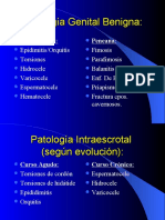 Patologia Genital Benigna