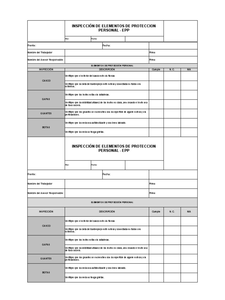 Formato Inspección EPP PDF