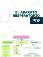 El Aparato Respiratorio