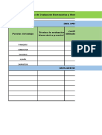 Matriz Evaluacion Biomecanica