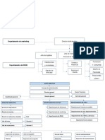 organigrama creacion