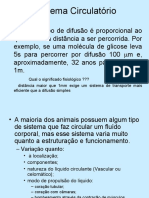 Sistema Circulatório: Componentes, Tipos e Funções