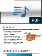 Sistema Digestivo Pancreas Terminado