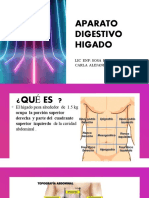 APARATO  DIGESTIVO  HIGADO TERMINADO