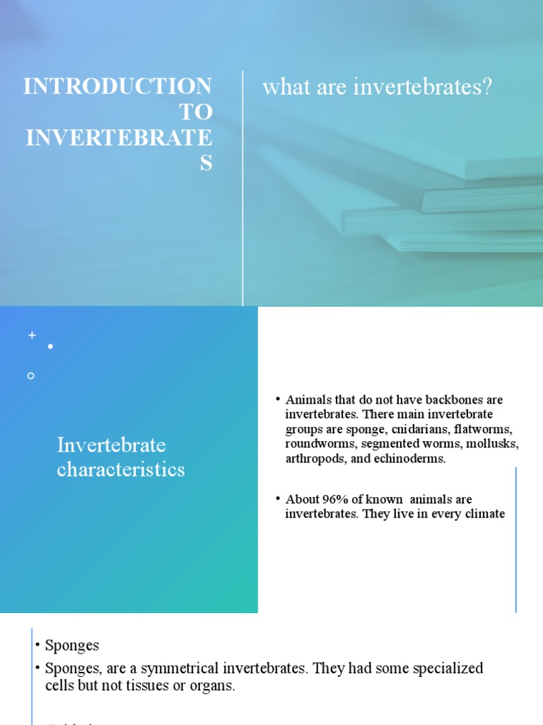 Introduction To Invertebrates | PDF | Invertebrate | Mollusca