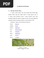 Download II - TINJAUAN PUSTAKA by mielasari SN55776135 doc pdf