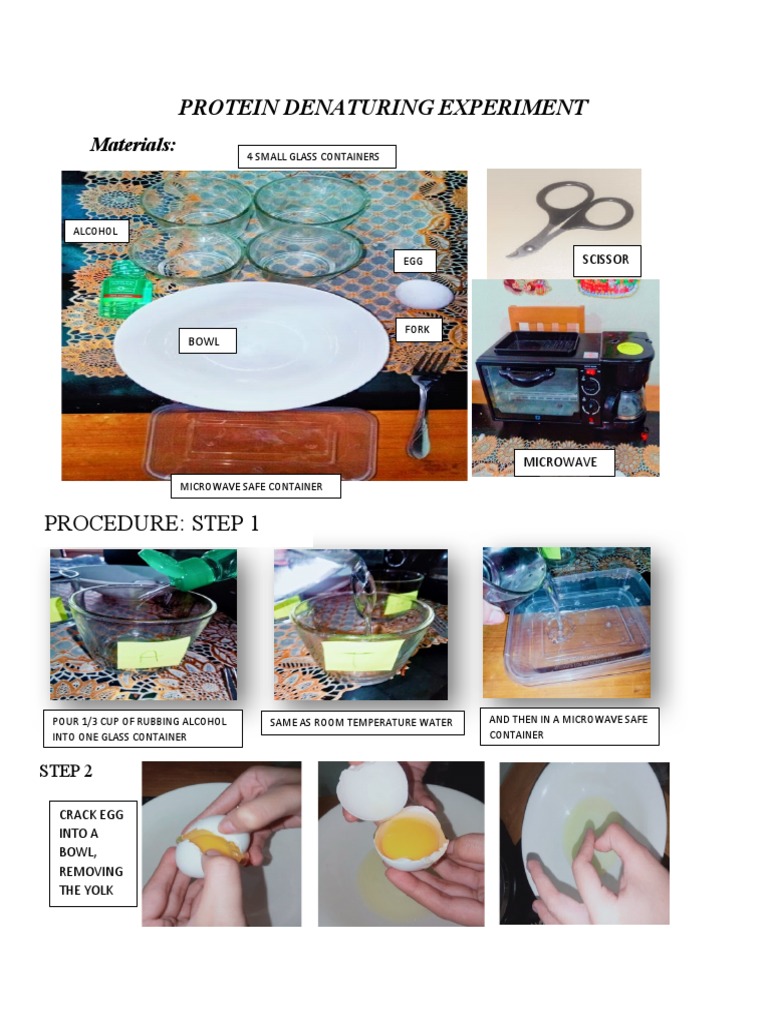 Protein Denaturing Experiment Lucky PDF