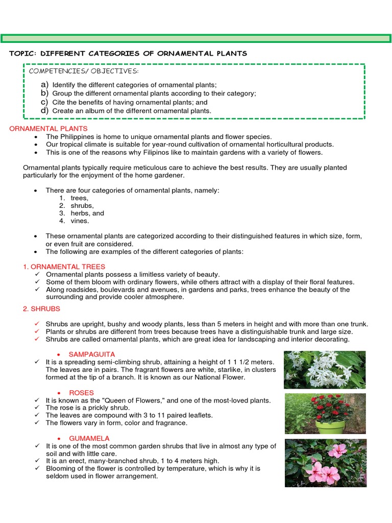 Different Categories of Ornamental Plants PDF Trees Plants