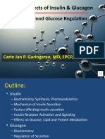 Physio Correl - Insulin and Glucagon