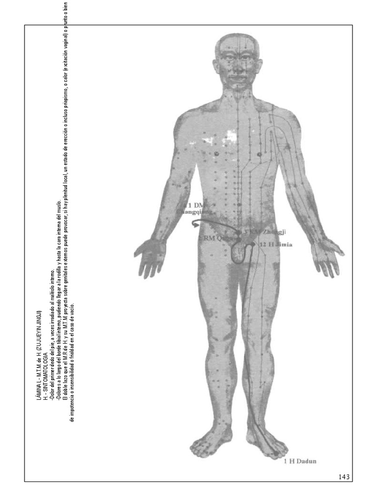 Conseguiu entender todas?As partes do corpo são:Cabeza = cabeçaEspalda