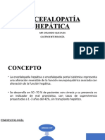 Encefalopatía hepática: concepto, fisiopatología, precipitantes y manejo