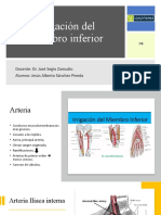 Zamudio Irrigación Del Miembro Inferior