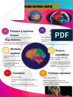 Infografia Sistema Nervioso Central