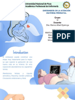 Membranas Fetales, Placenta, Cordon Umbilical, Circulación Embrionaria y Fetal...Pptx