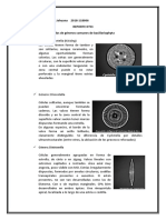 Reporte 3