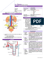 Seminar 1 Urinary Tract Infections