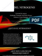 Ciclo Del Nitrogeno