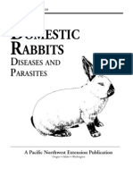 Domestic Rabbits Diseases and Parasites