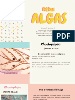 Atlas Algas