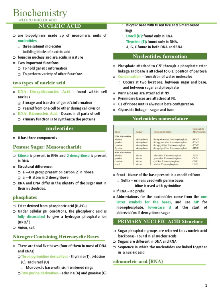 Biochemistry Week 9 - Nucleic Acid | PDF | Dna | Nucleic Acids