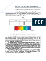 Topic 2: The Importance of Chlorophyll and Other Pigments: Light Energy