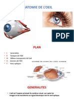 Ophtalmo6an-Anatomie Oeil2022benchiheub