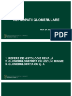 Nefropatologie C6 Prof DR Caruntu