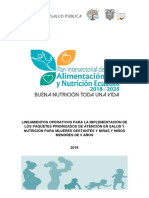 Copia de Lineamientos PIANE 26.12.2018