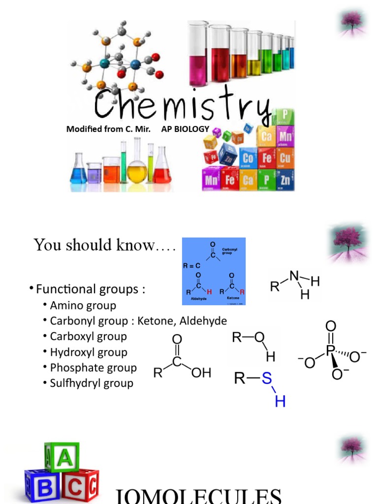 1.2. All Four Biomolecules V2 | PDF | Fat | Fatty Acid