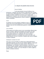 Cuidados antes e depois do plantio das árvores frutíferas