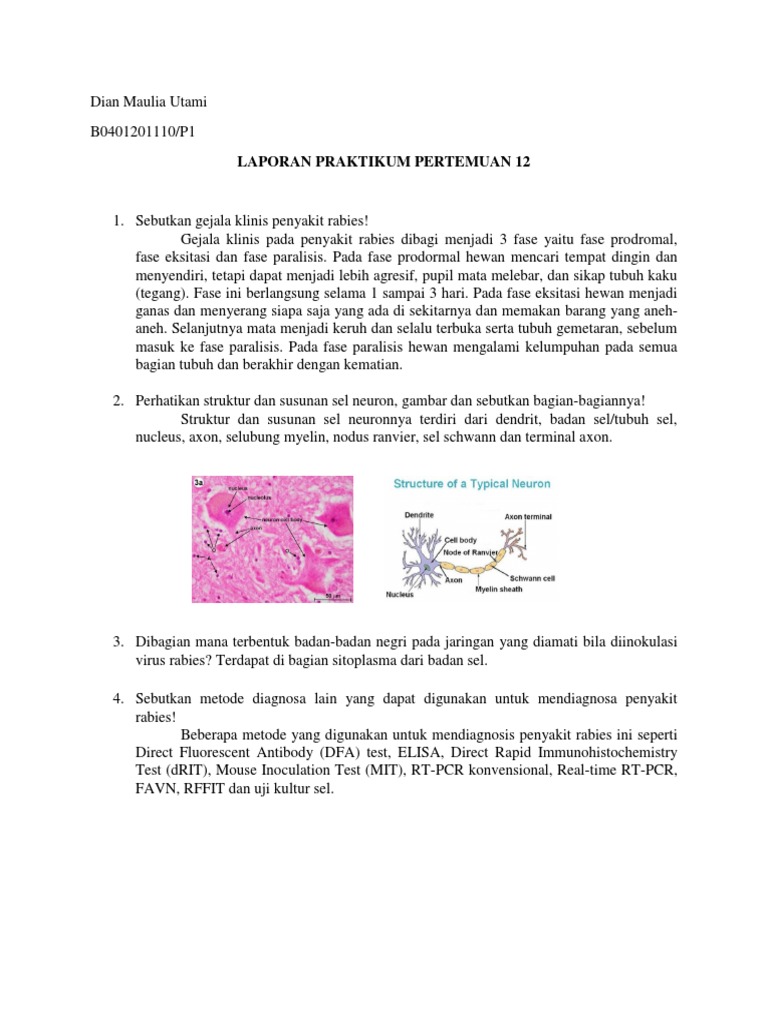 Hammomda rus ayollari qanday sikishadi