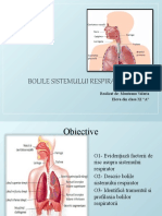 Bolile Sistemului Respirator