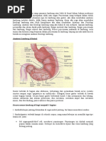 Download anatomi lambung by muhrillahiyaaa SN55785523 doc pdf