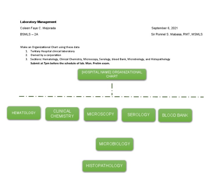 Clinical Laboratory Organizational Chart | PDF