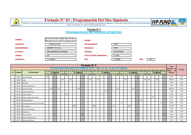 Formato #03.1 | PDF