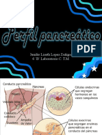 Perfil Pancreatico