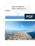 12 Ideas para Combatir La Contaminación Marina en El Caribe