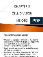 Meiosis