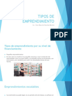 Tipos de Emprendimiento