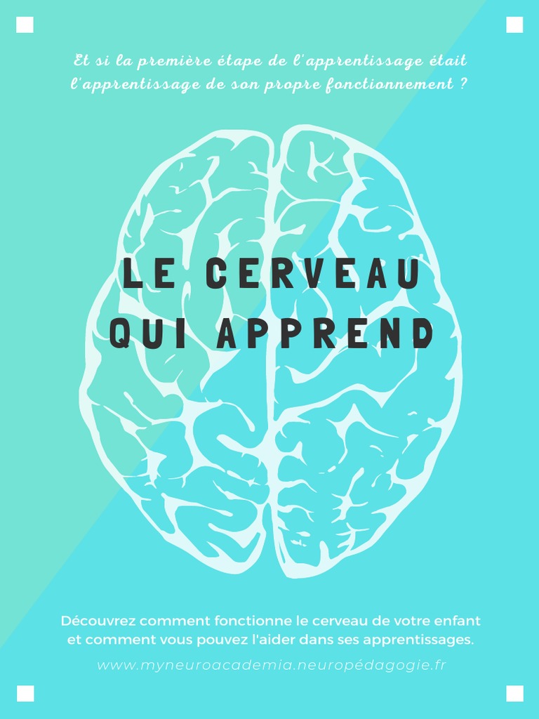 Le cerveau et ses apprentissages | PDF | Apprentissage | Cerveau