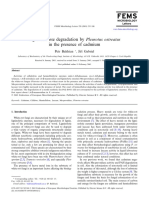 Lignocellulose Degradation by Pleurotus Ostreatus in The Presence of Cadmium