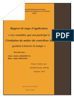 Le Rapport de Stage D'application PDF