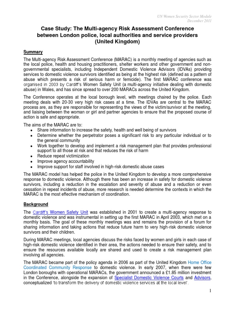 Multi-Agency Domestic Violence Response | PDF | Domestic Violence ...